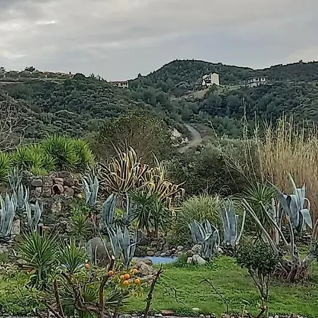 Seaside View * Chaniotis