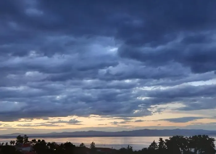 Seaside View * 하니오티